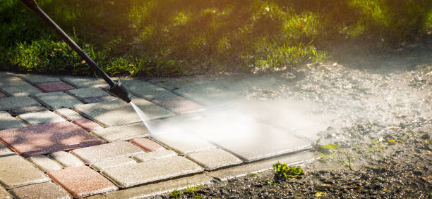 Best Roof Washing  in Sparta, MO